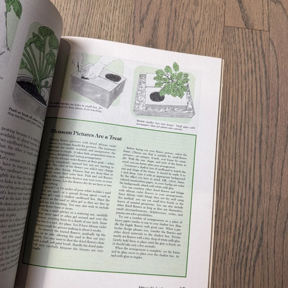 How to Grow African‎ Violets (A Sunset Book)